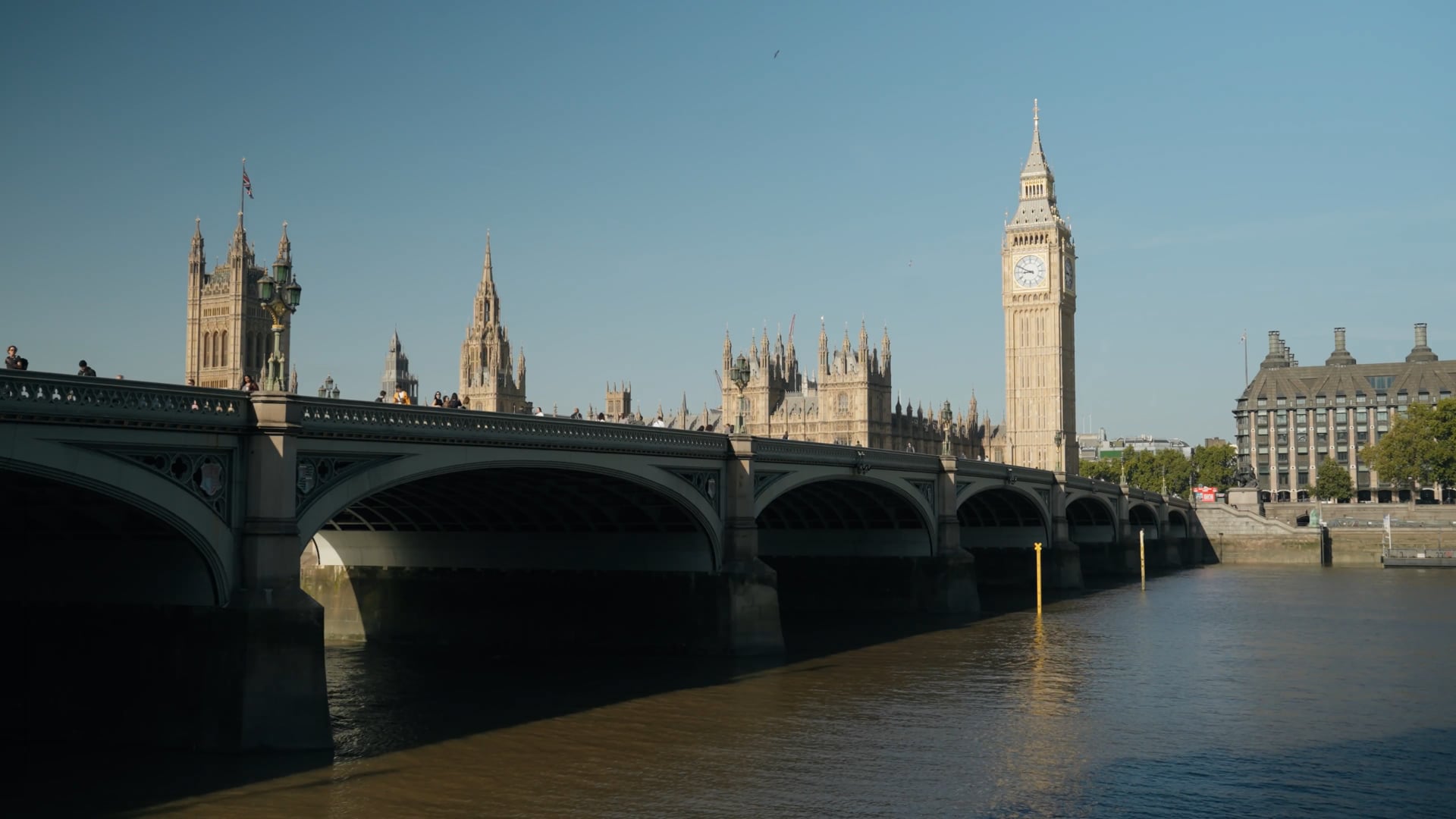Agent Cole in the Foster Denovo National Pension Tracing Day campaign film
